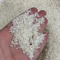 برنج صدری دمسیاه/سه الکه/معطر|خوردنی و آشامیدنی|رضوانشهر, |دیوار