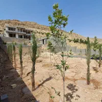 ویلا کِلستان با تمامی امکانات و سند تک برگ|فروش خانه و ویلا|شیراز, گلستان|دیوار
