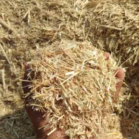 کاه کاکوب