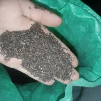 اسپند خوراکی