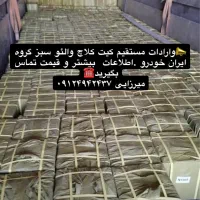 دیسک وصفحه والئو فرانسه-بازار تهران