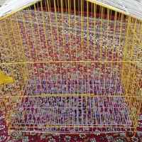 2 عدد قفس در حد یکیش تاشو