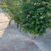 فروش-1-خواب-64متری-فاز-G