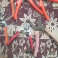 سلام قیچی ارس|ابزارآلات|نگین شهر, |دیوار