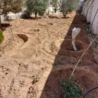 شخم پاکنی خدمات باغبانی کارگرباغ باتیلرکلیتواتور،|خدمات باغبانی و درختکاری|شیراز, میانرود|دیوار