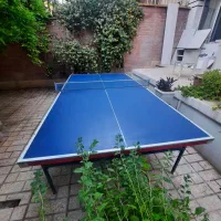 میز پینگ پنگ