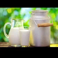 سرشیر تازه گوسفندی