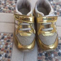 کفش|کیف، کفش، کمربند|اهر, |دیوار