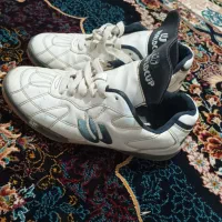 کفش اصلی سالنی