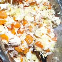 پخت غذای خونگی برای گربه ها