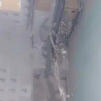 پرنده|پرنده|مشهد, محمدآباد|دیوار