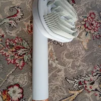 سگ پاپی|سگ|اصفهان, عمان سامانی|دیوار