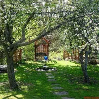 فروش-زمین-مسکونی-باغ