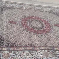 فروش فرش دست بافت|فرش|زهان, |دیوار