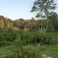 فروش-معاوضه-با-سند-زمین-404متردر-چمخاله-نزدیک-دریا