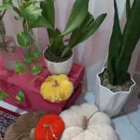کدوهای پارچه ای فانتزی|صنایع دستی و سایر لوازم تزئینی|تهران, آهنگران (سراسیاب دولاب)|دیوار
