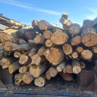 خریدار چوب باغی و هیزمی|خدمات باغبانی و درختکاری|ری, علایین|دیوار