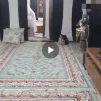 در سه طاق آراکسدی در حد نو