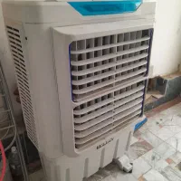 کولرابی سلولزی