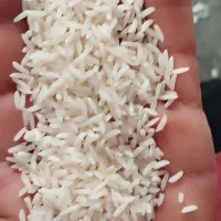 فروش ویژه و محدود برنج ایرانی طارم هاشمی