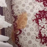 فرش|فرش|قوچان, |دیوار