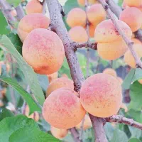 افزایش و کاهش وزن