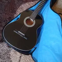 گیتار دیاموند آموزشی نو