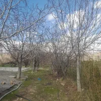 اجاره سوئیت عقیل اباد