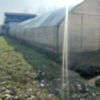 فروش گلخانه دست دوم