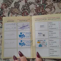 سگ ماده وخوشکل وکاملن خانگی