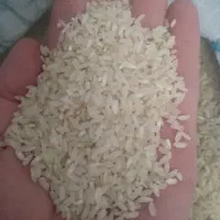 برنج کامفیروزی|خوردنی و آشامیدنی|شیراز, باغشهر اهل بیت|دیوار