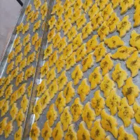 شیرینی خانگی مخلوط|خدمات پذیرایی، مراسم|سبزوار, امیر کبیر|دیوار