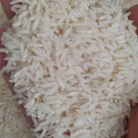 برنج درجه یک هاشمی سورتینگ شده