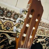 گیتار پارسی m2