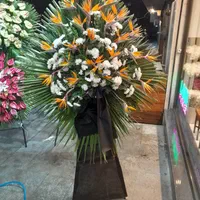 گلسراترنج فروش تاج گل ختمی ترحیم تسلیت تبریکی|گل و گیاه طبیعی|تهران, شهرک محلاتی|دیوار