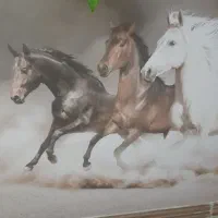 کهره نر سانن سه عدد