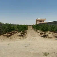 فروش زمین باغی ۴۶۰ متر میدان کشاورز قهجاورستان|فروش زمین و ملک کلنگی|اصفهان, قهجاورستان|دیوار