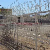 نرده بالکن حفاظ پنجره دزدگیر دیوار امنیت خانه شما|مصالح و تجهیزات ساختمان|شیراز, شهرک گلستان شمالی|دیوار