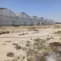 ۲۱۰۰۰متر چهاردیواری۷۰۰۰مترگلخونه هیدروپونیک کهریزک|فروش دفتر صنعتی، کشاورزی، تجاری|کهریزک, |دیوار