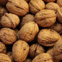 گورانسارا گیردکانی