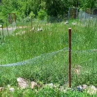 زمین چسب بافت روستای مرجان طالقان