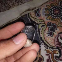 انگشتر شجر|جواهرات|سراوان, |دیوار