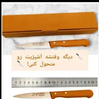 چاقو آشپز