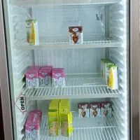 یخچال ایستاده موتور آلمانی اصل