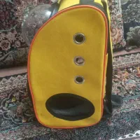 کیف حمل سگ نو|لوازم جانبی حیوانات|مشهد, محمدآباد|دیوار