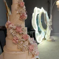 دیجی خانم دی جی عروسیdj حنابندان وتولد و عقد|خدمات پذیرایی، مراسم|تبریز, |دیوار