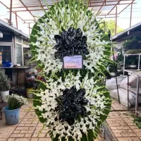 پخش تاج های تبریک تسلیت افتتاحیه ارسال رایگان|گل و گیاه طبیعی|ری, بازار گل خاوران|دیوار