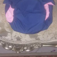 شورتکس سگ  نونو