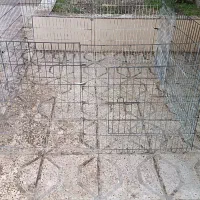 پارک بازی سگ