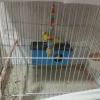 لطفاً به شماره زنگ بزنید